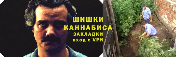 хмурый Дмитриев