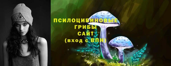 хмурый Дмитриев