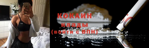 хмурый Дмитриев