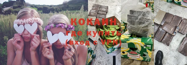 хмурый Дмитриев