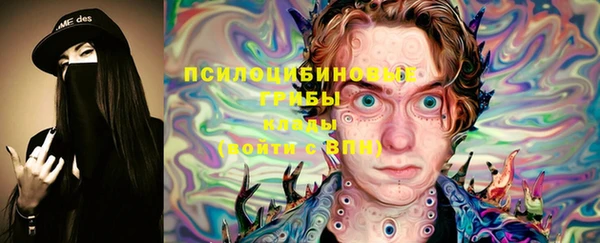 хмурый Дмитриев