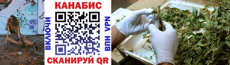 Бошки марихуана THC 21% Кингисепп